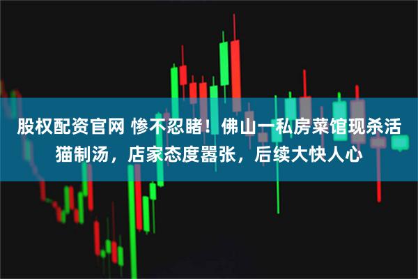 股权配资官网 惨不忍睹！佛山一私房菜馆现杀活猫制汤，店家态度嚣张，后续大快人心