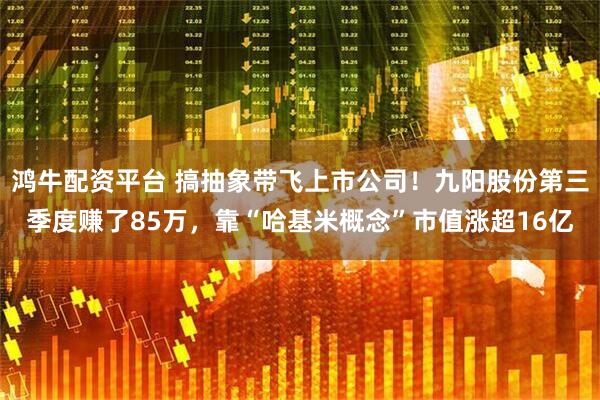 鸿牛配资平台 搞抽象带飞上市公司！九阳股份第三季度赚了85万，靠“哈基米概念”市值涨超16亿