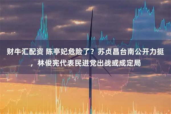 财牛汇配资 陈亭妃危险了？苏贞昌台南公开力挺，林俊宪代表民进党出战或成定局